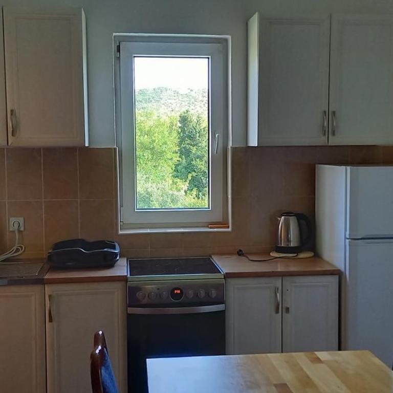 Apartmani Stojanović - Apartman s 1 Spavaćom Sobom i Terasom - 16