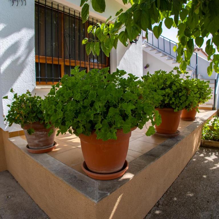 Les Olles Riumar Pura Natura - Casa con 3 Camere da Letto - 8