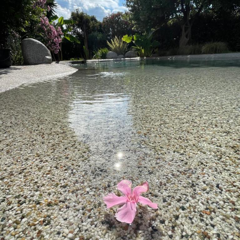 Au lagon de thau - Villa 3 Chambres - 10