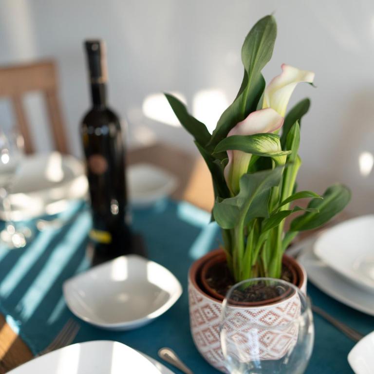 Sunset View Apartments - One-Bedroom Apartment - 9