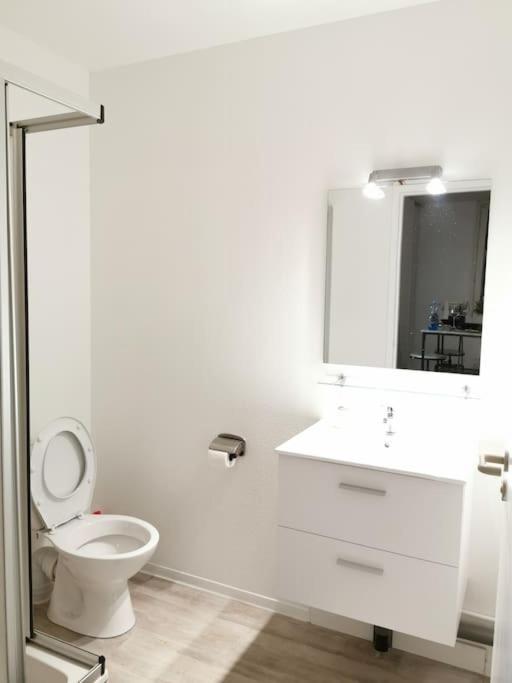 LE BIKING *STUDIO (30m²) *WIFI*PARKING PRIVE*CALME - Studio - 20