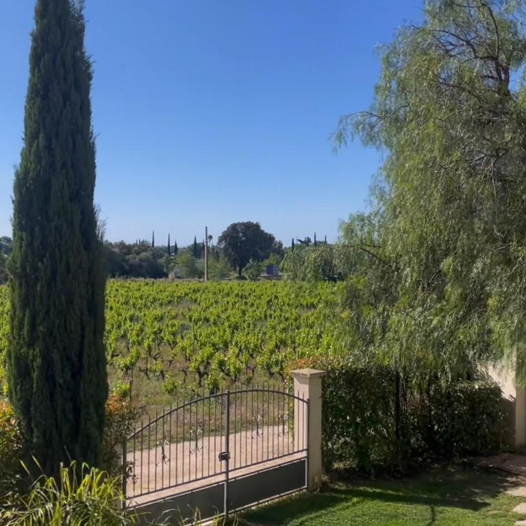 Chateau de la Clapiere - Appartement avec Balcon - 8