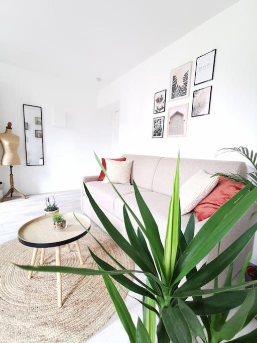 L'AUTHENTIQUE *STUDIO *PARKING PRIVE* *WIFI*CALME - Studio - 14