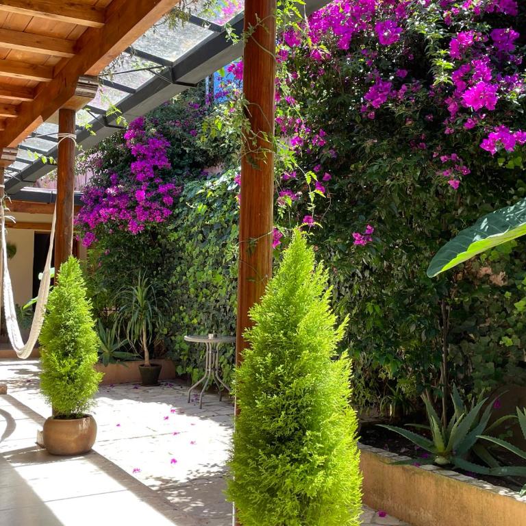 Hotel Casa Azabache - Deluxe Double Room with Private Bathroom - 1