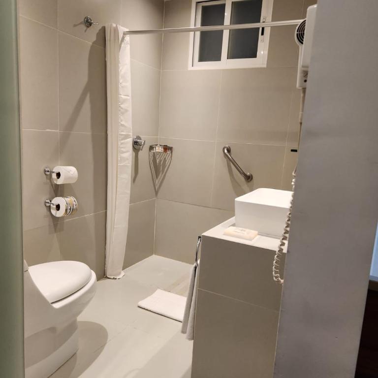 Hotel Ritz Ciudad de México - Junior Suite - 5