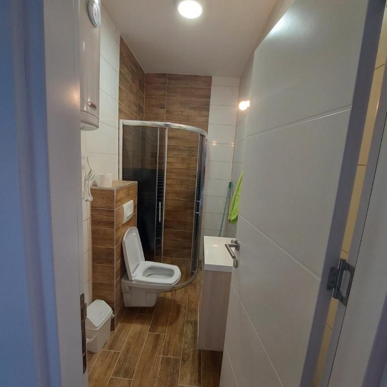 Apartman Banjski Raj - Apartman sa 1 Spavaćom Sobom - 6