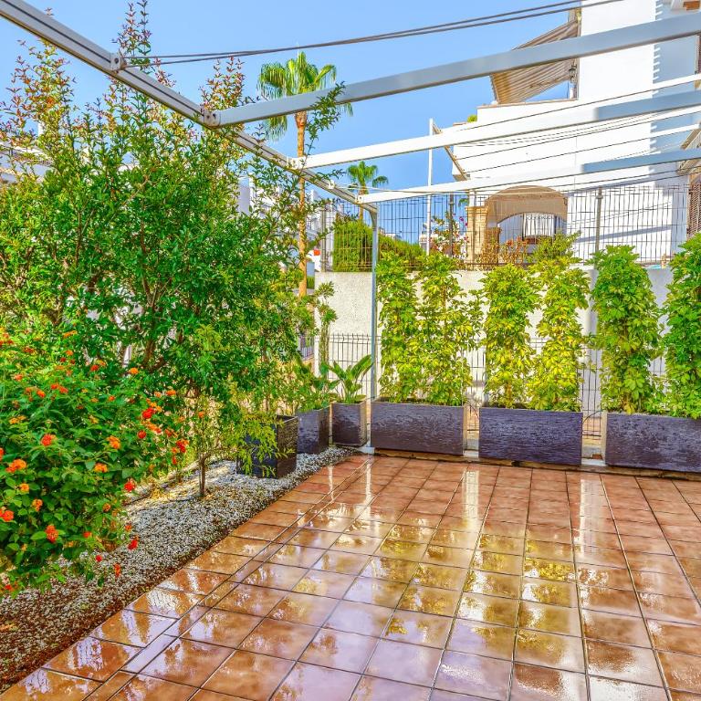 Sunny apartments in La Mata, Azul Beach 2 - Three-Bedroom Apartment - 13