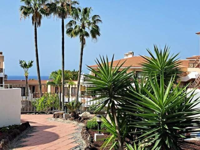 Apartman Palmeras Golf del Sur - Apartamento de 1 dormitorio - 53
