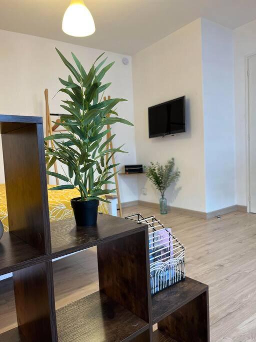Appartement neuf entièrement équipé proche centre - Appartement 1 Chambre - 28