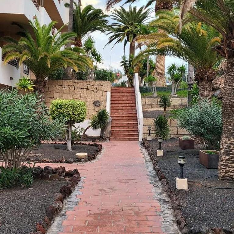 Apartman Palmeras Golf del Sur - Apartamento de 1 dormitorio - 52