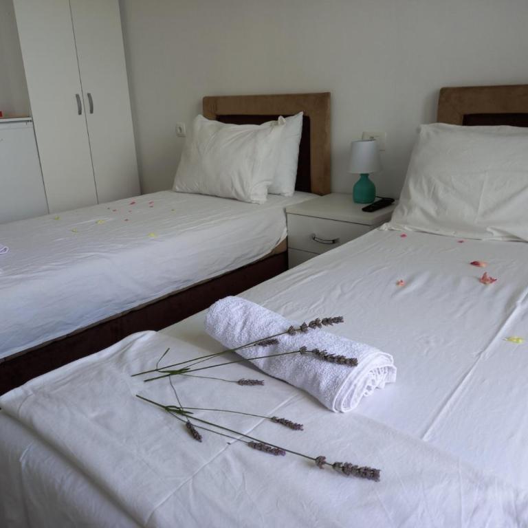 Apartments Verona - Deluks Dvokrevetna Soba sa Bračnim Krevetom i Balkonom - 12
