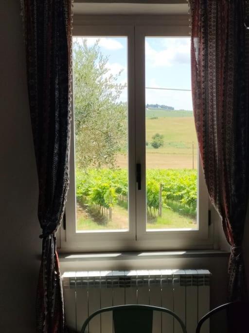 Villa vista vigneto - Casa con 2 Camere da Letto - 19