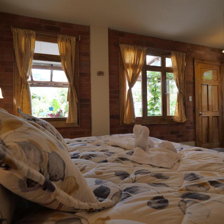 Casa del Rio en MINDO - Standard King Room - 6