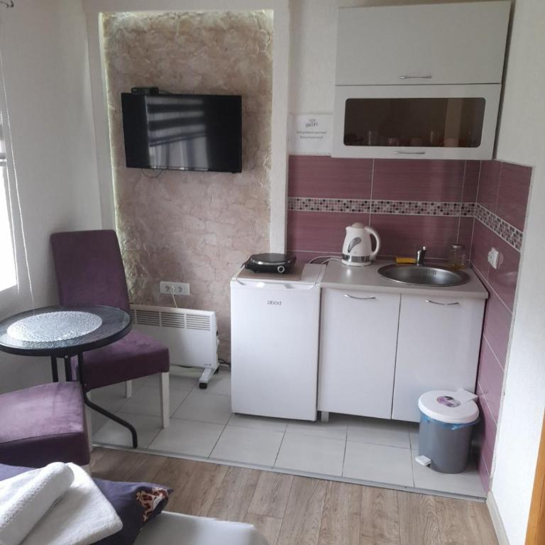 Golubović Apartments - Classic Double Room with Shower - 2