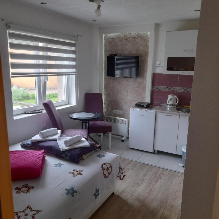 Golubović Apartments - Classic Double Room with Shower - 1