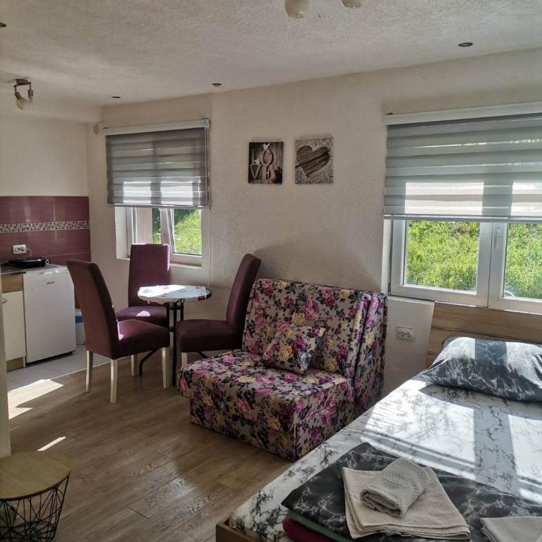 Golubović Apartments - Studio with Sofa Bed - 2