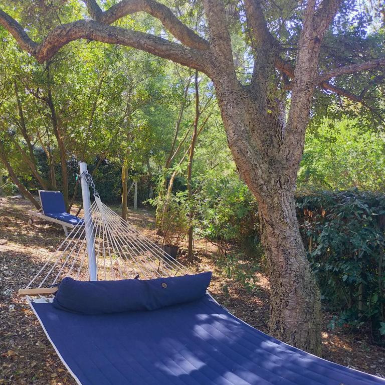 Villa sous les pins, plage à pied! Seignosse Océan - Villa am Strand - 29