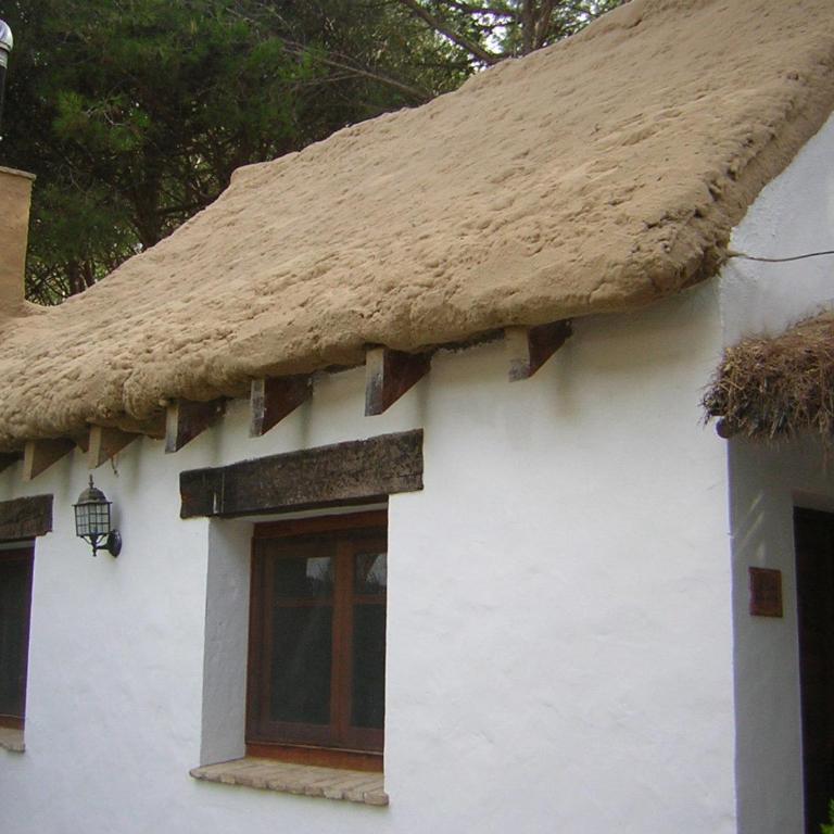 Casa Rural Los Pepe Sancti Petri - Villa (4 adultos) - 1
