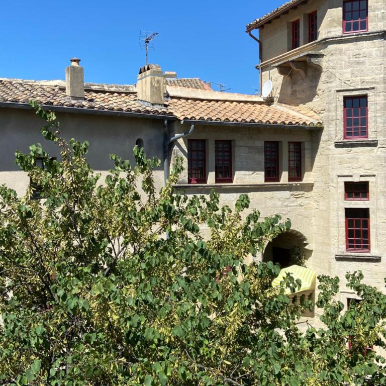 appartement a 50 m de la place aux herbes - Appartement 2 Chambres - 10