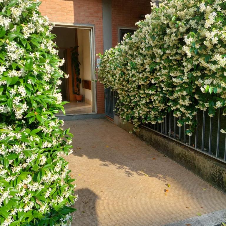 Flowerence - One-Bedroom Apartment - 1