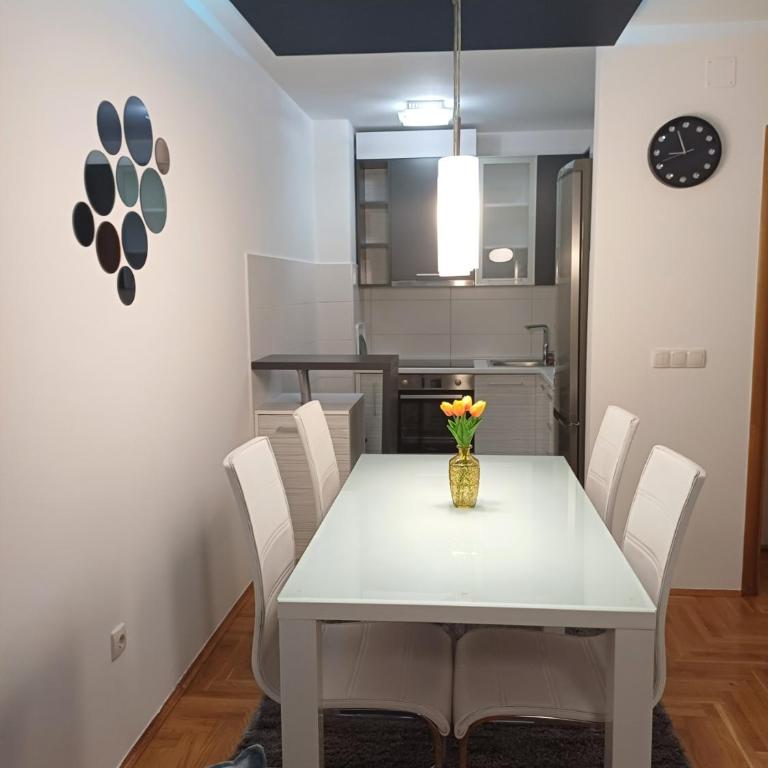 Apartman "Ina" Banja Luka - Apartman - 7
