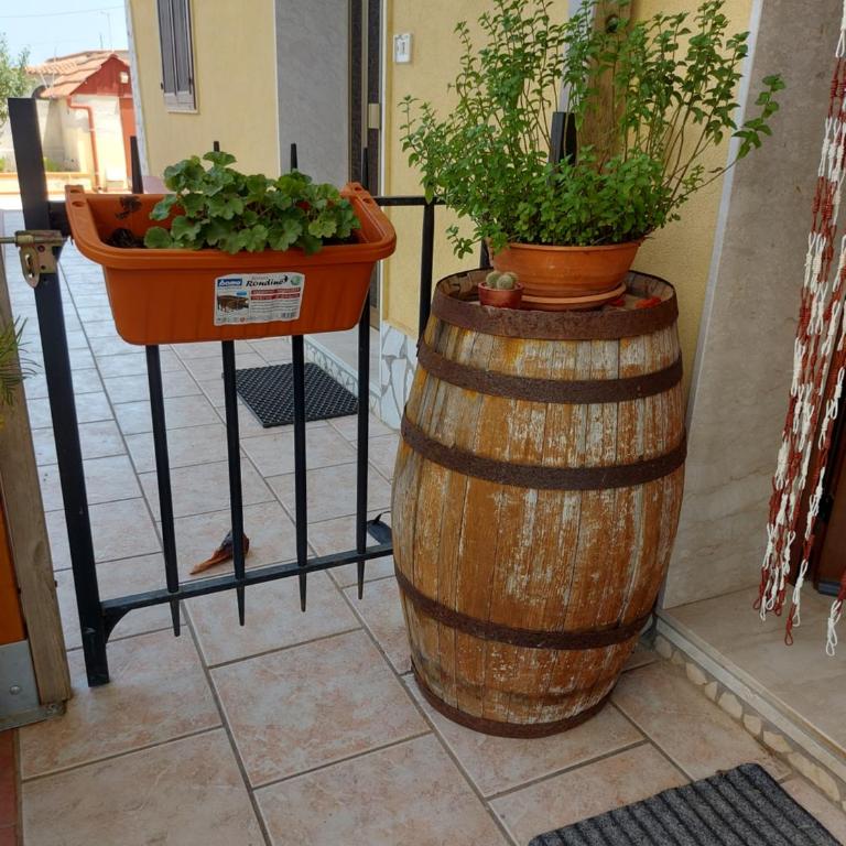 Elorina Sicily Home - Casa con 1 Camera da Letto - 16
