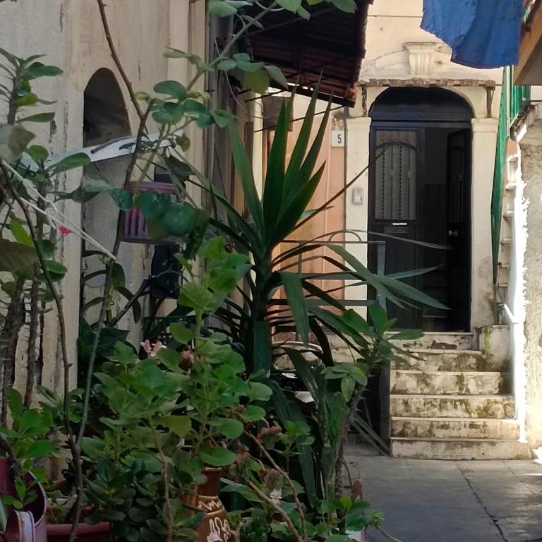 La casa nel vicolo - Appartamento - 10