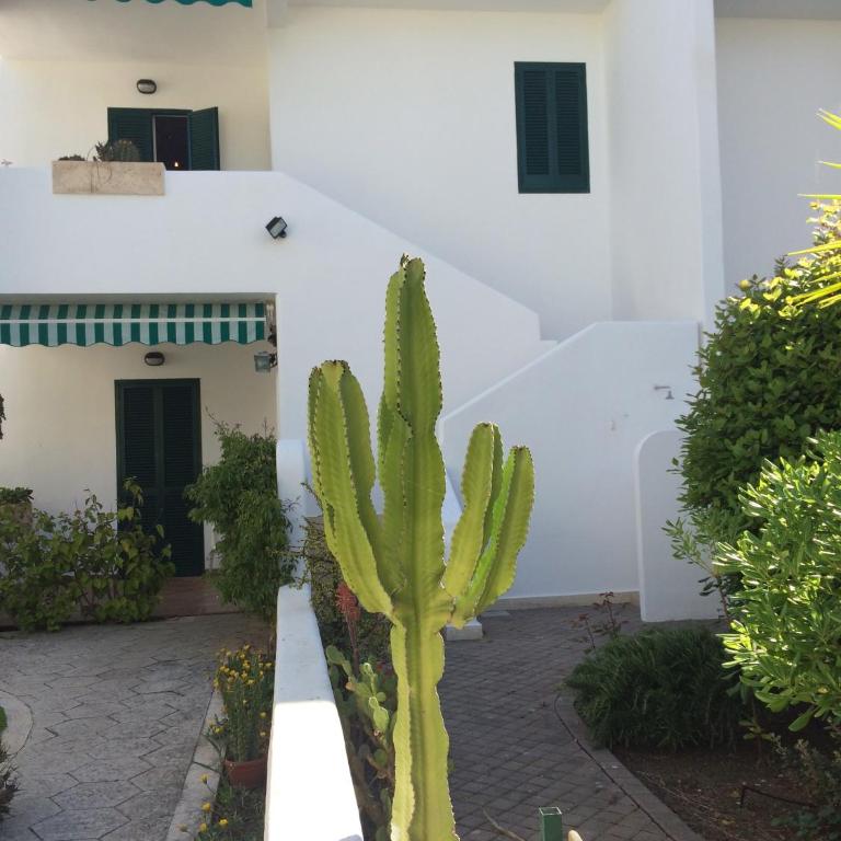 Baia Verde Apartments - Two-Bedroom Apartment - 21