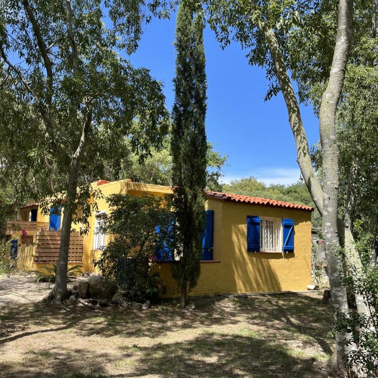 Gites de la Massane - Appartement - Rez-de-Chaussée - 3