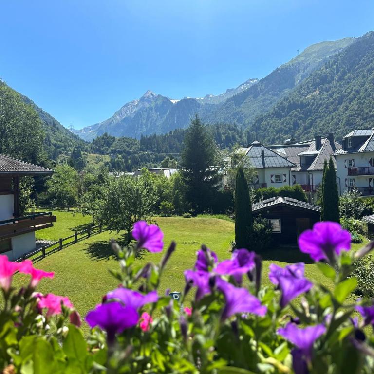 Pension Monika, Bed & Breakfast, Kitzsteinhorn views - Doppelzimmer mit Balkon - 13