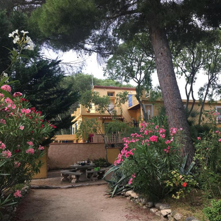 Gites de la Massane - Appartement en Duplex - 9