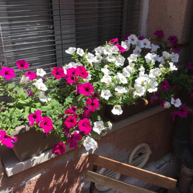 Cannaregio II Apartments - Appartamento con 1 Camera da Letto - 11