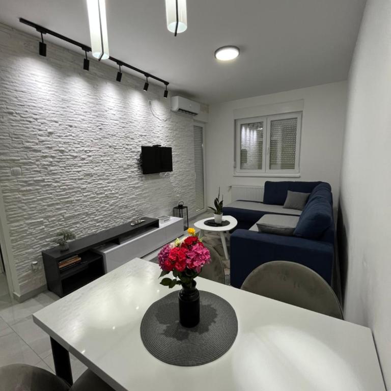 Apartman 21 Banja Koviljača - Apartman sa 1 Spavaćom Sobom - 23