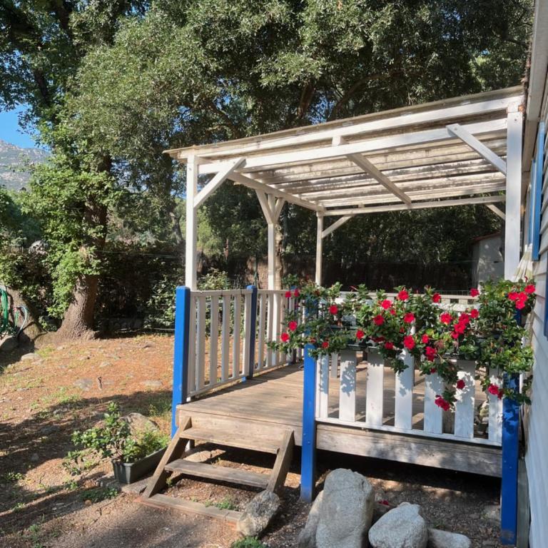 Gites de la Massane - Mobile Home - 16