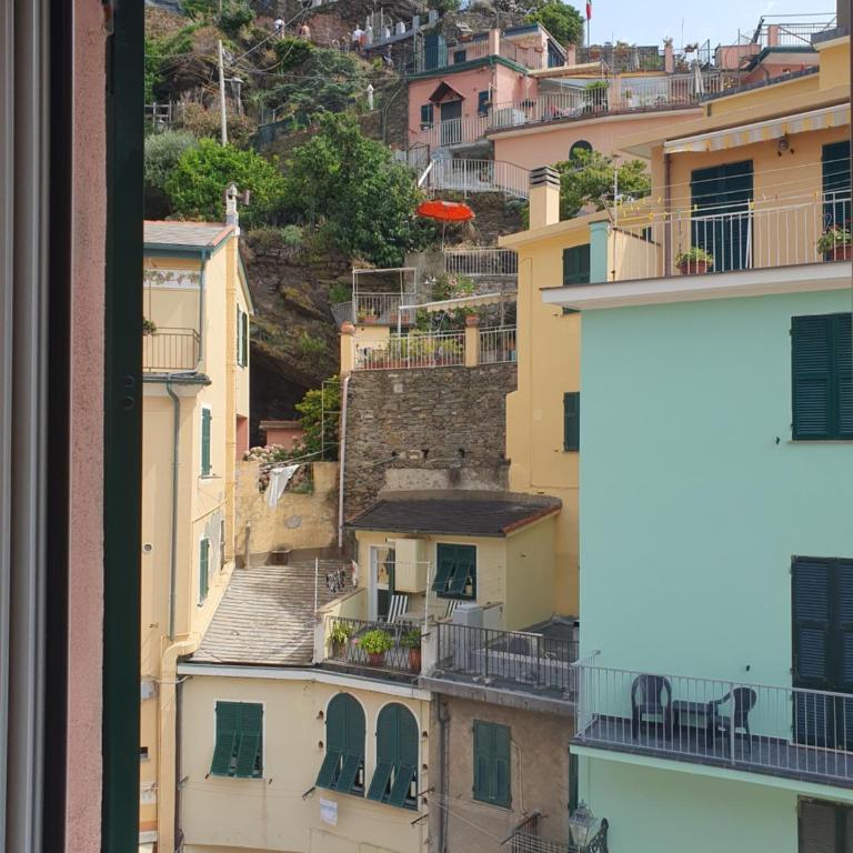 LA CASA DI MINA - Apartamento de 1 dormitorio - 7