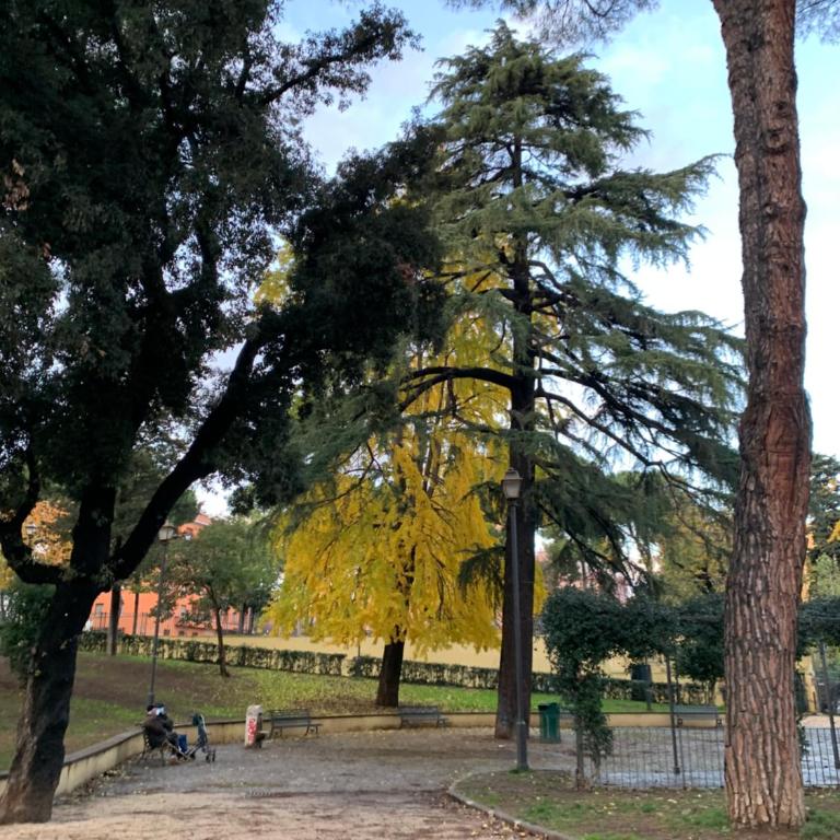 2 Bedroom Flat at just 4 tube stops from Coliseum - Appartamento con 2 Camere da Letto - 27