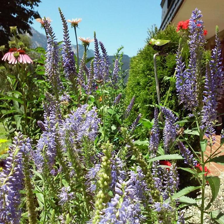 Landhaus Hirterhütte - Two-Bedroom Apartment - 24