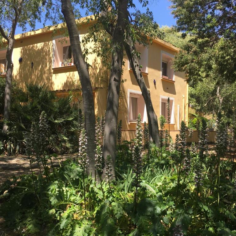 Gites de la Massane - Appartement - Rez-de-Chaussée - 9