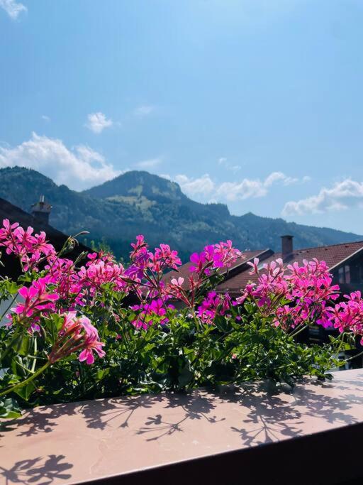 Berge, Wandern, Erholung pur! Fewo Tinka-Haus Katja - Apartment mit 2 Schlafzimmern - 4