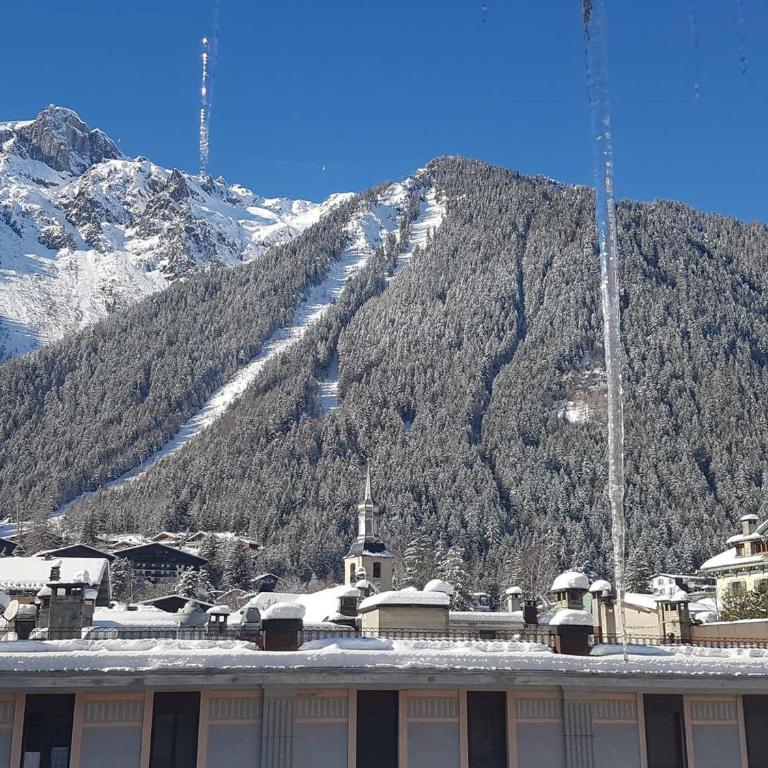 Magnifique appartement centre-ville - Animaux admis, WiFi - FR-1-517-37 - Apartment (10 Erwachsene) - 4