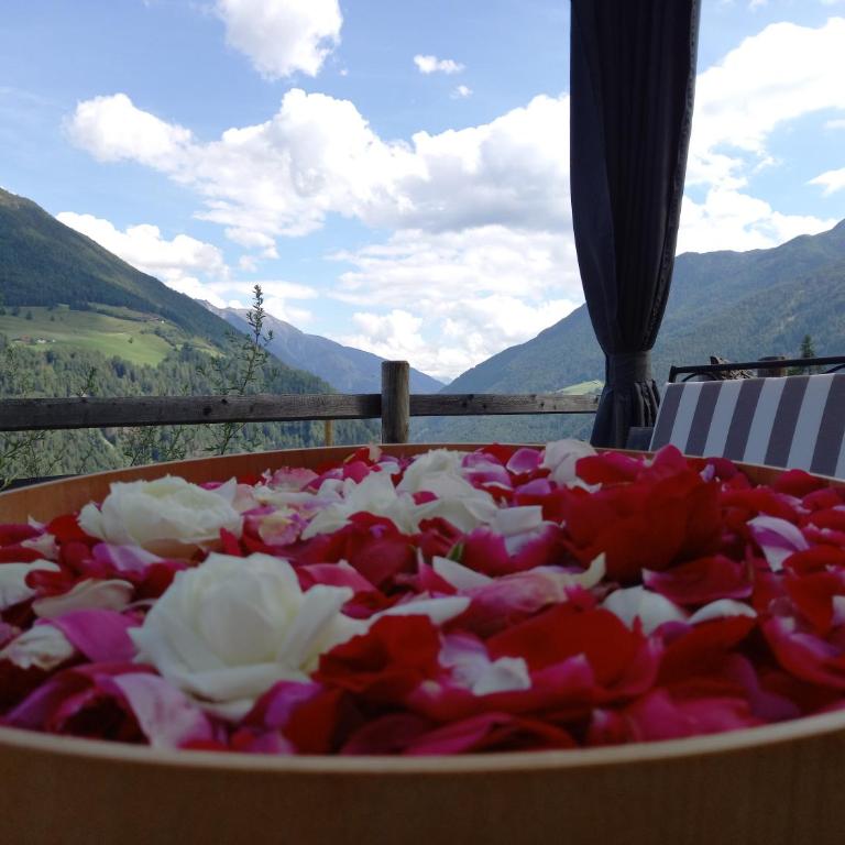 Apart-Chalet Talblick - Chalet 1 Chambre - 23