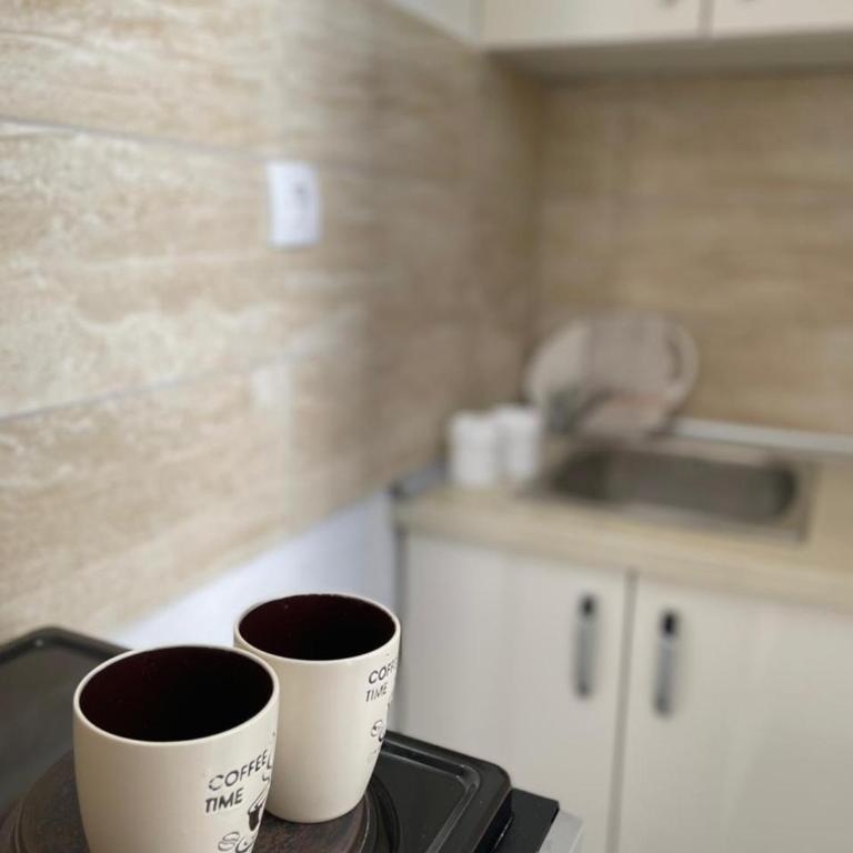 Jelić apartmani - Porodični Studio - 2