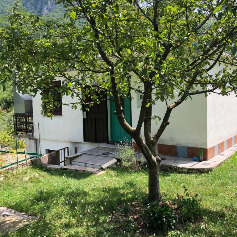 Kuca za odmor DIVA - Kuća sa 1 Spavaćom Sobom - 1