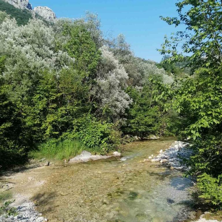 Kuca za odmor DIVA - Kuća sa 1 Spavaćom Sobom - 21
