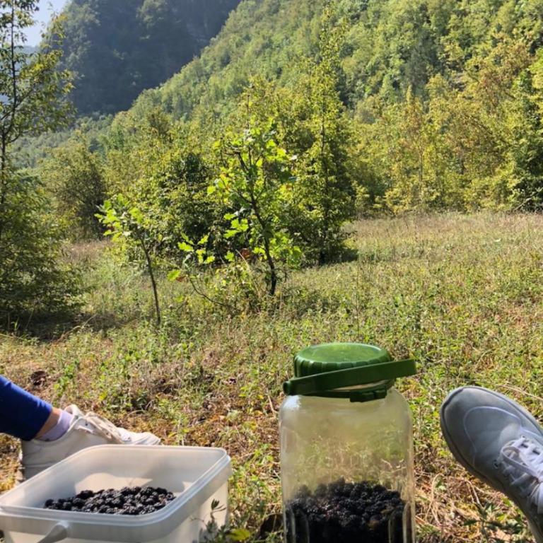 Kuca za odmor DIVA - Kuća sa 1 Spavaćom Sobom - 22