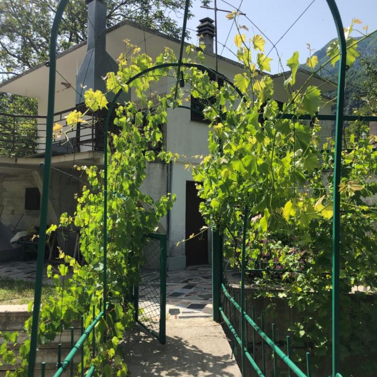 Kuca za odmor DIVA - Kuća sa 1 Spavaćom Sobom - 2