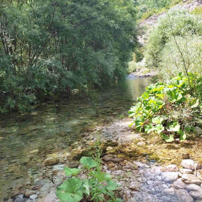 Kuca za odmor DIVA - Kuća sa 1 Spavaćom Sobom - 23