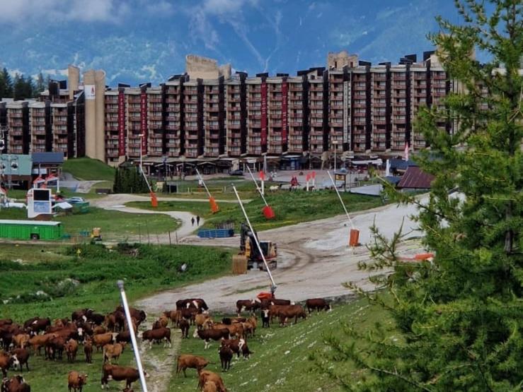 Belle Plagne appartement pour 5 personnes - Appartement 1 Chambre - 7