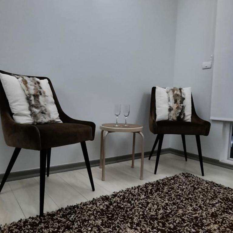 Pucón Soñado Te Espera - Apartamento con vistas al jardín - 4