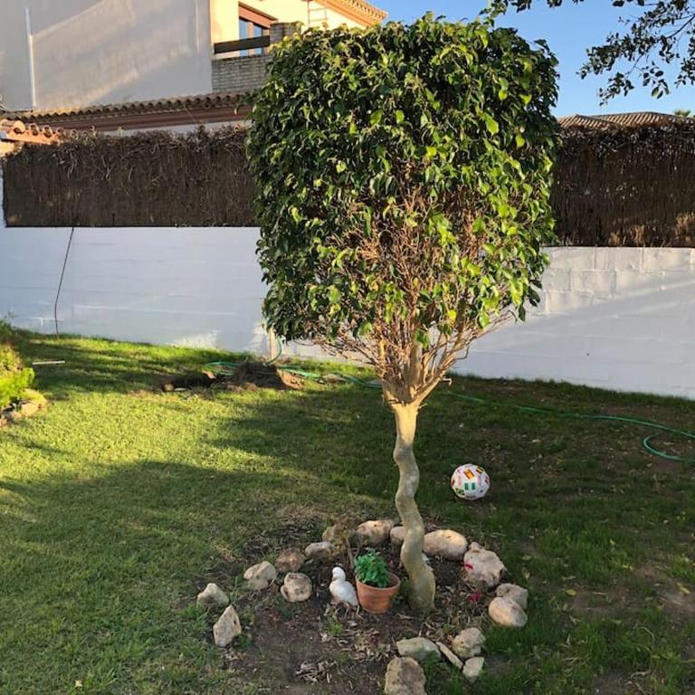 APOLO - Casa de 4 dormitorios - 19
